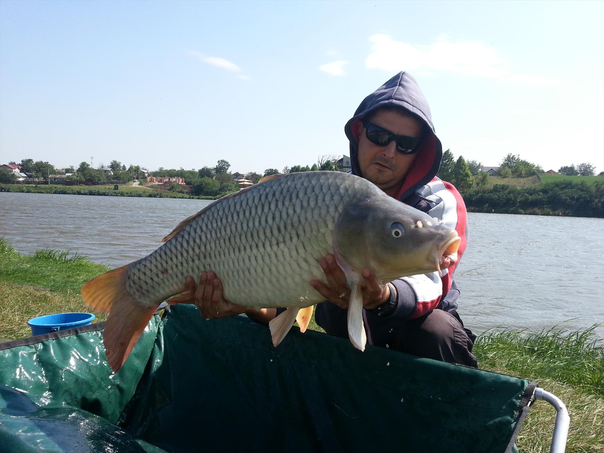 Moara Vlasiei 2 5 septembrie 2014 - 20140905143609.jpg